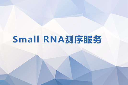 Small RNA测序服务