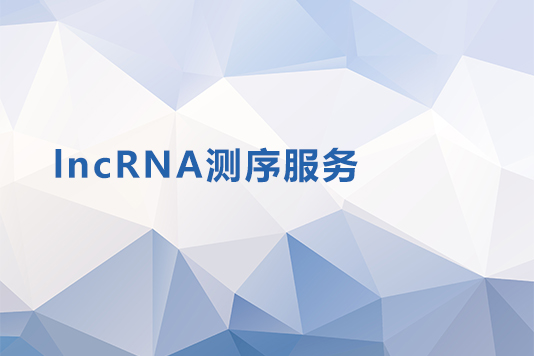 lncRNA测序服务