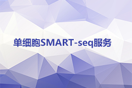 单细胞SMART-seq服务