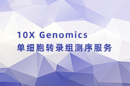 10X Genomics单细胞转录组测序服务